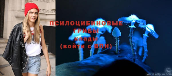 спиды Козловка